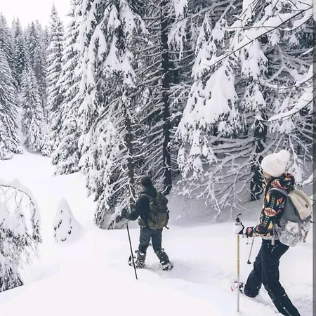 Apartment Moderne Pres Du Et Centre Ville. Les Eaux Vives. Gérardmer