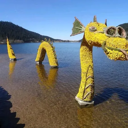 公寓 Moderne Pres Du Et Centre Ville. Les Eaux Vives. *