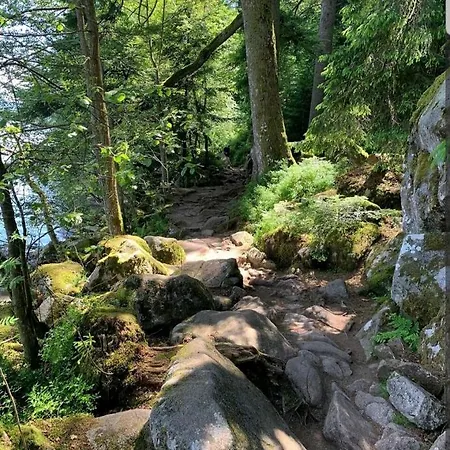 Moderne Pres Du Et Centre Ville. Les Eaux Vives. Apartment *