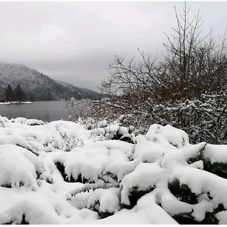 Moderne Pres Du Et Centre Ville. Les Eaux Vives. Gerardmer
