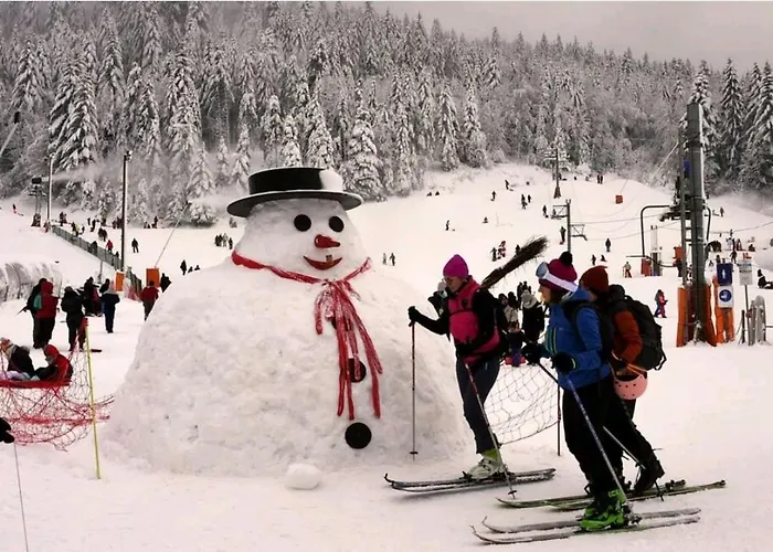 Moderne Pres Du Et Centre Ville. Les Eaux Vives. 公寓 热拉梅